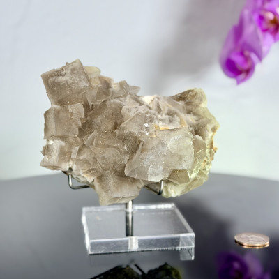 Smoky Champagne Fluorite Cluster with Ethereal Blue UV Fluorescence — Xianghualing, Hunan, China