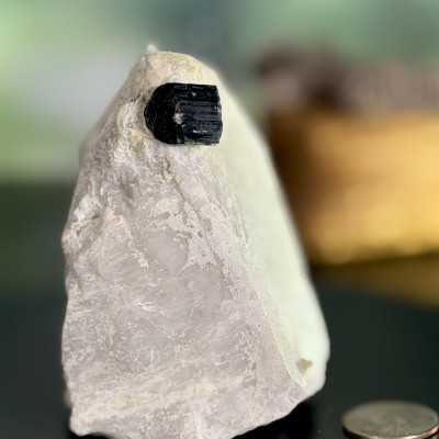Black Tourmaline with Mica on Albite from Afganistan